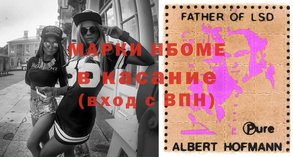 твердый Арсеньев