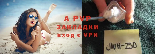 твердый Арсеньев