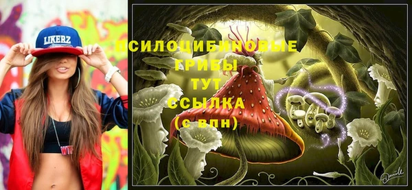 твердый Арсеньев