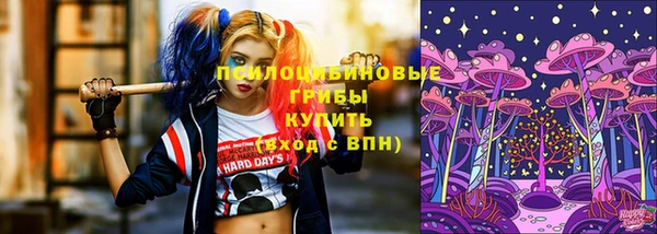 прущие крисы Армянск