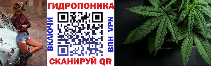 Канабис MAZAR  продажа наркотиков  Астрахань 